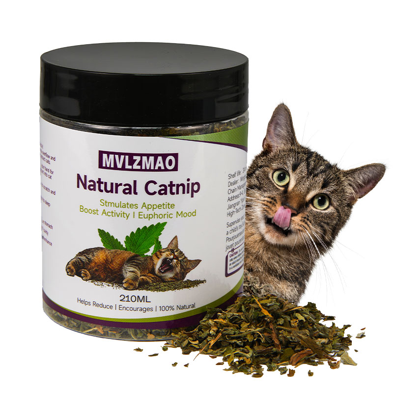 Herbal Wellness Supplement - Cat Toys - Silvervine Catnip for