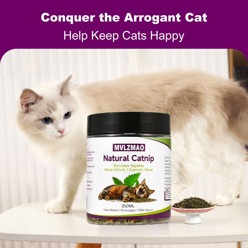 Cat Toys - Silvervine Catnip f - Herbal Wellness Supplement 评论和价格