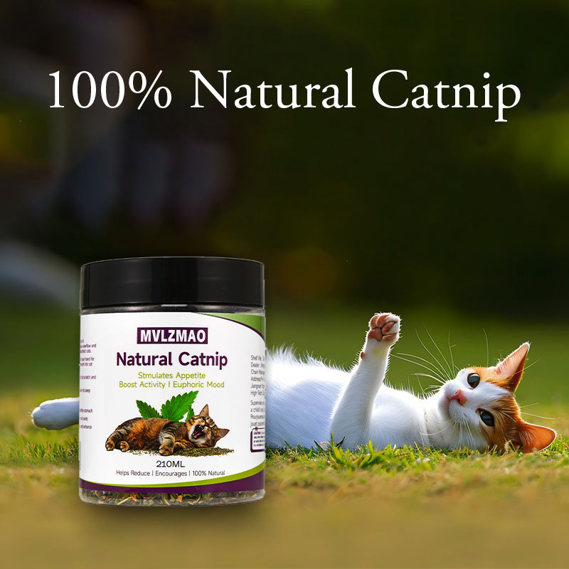 Cat Toys - Silvervine Catnip f - Herbal Wellness Supplement 评论和价格