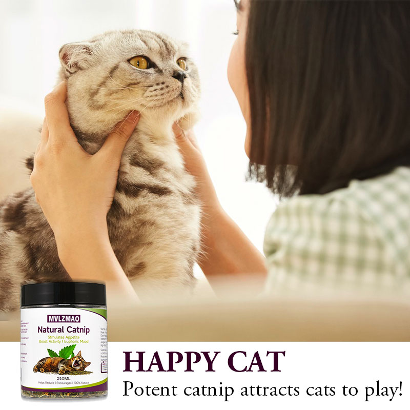 Cat Toys - Silvervine Catnip f - Herbal Wellness Supplement 评论和价格